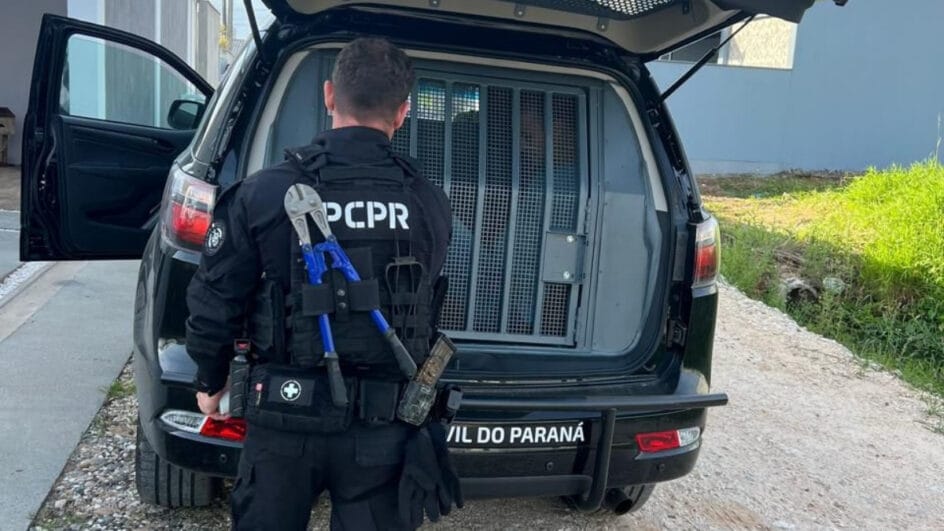 operação no paraná e em sc