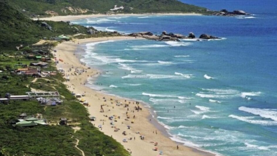 Recurso do MPSC buscava considerar todas as áreas de restinga como de preservação permanente, mas pedido foi rejeitado em julgamento (Foto: Arquivo NSC)