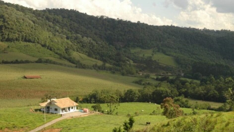 Projeto de lei foi enviado para a Alesc (Foto: Aires Mariga, Epagri)