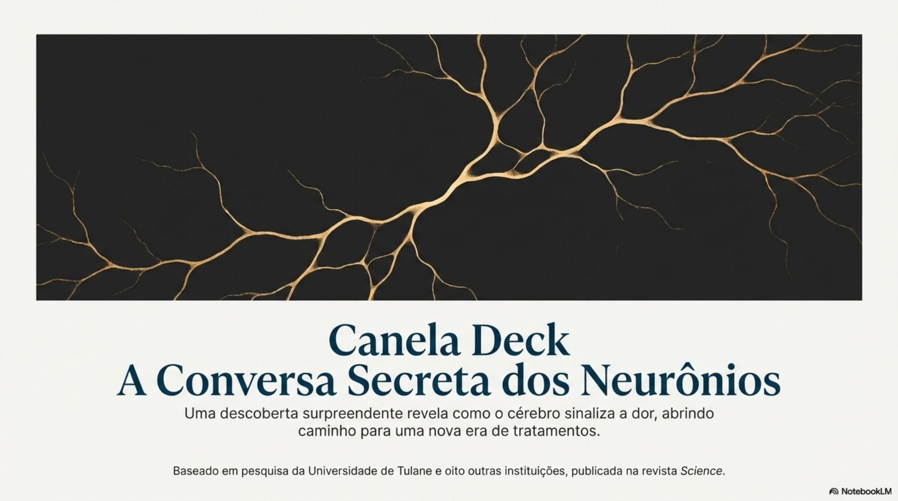 Guia da descoberta histórica que pode revolucionar o tratamento da dor humana. (Foto: Reprodução, Google LM Notebook)
