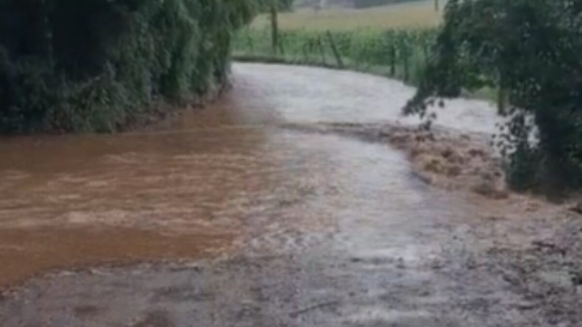 Chuva em Faxinal dos Guedes