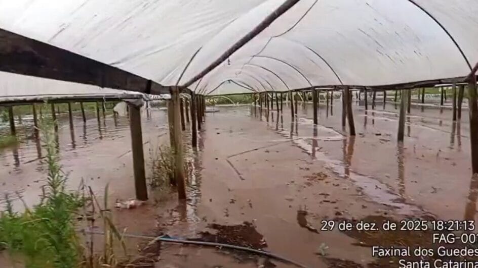 Chuva em Faxinal dos Guedes