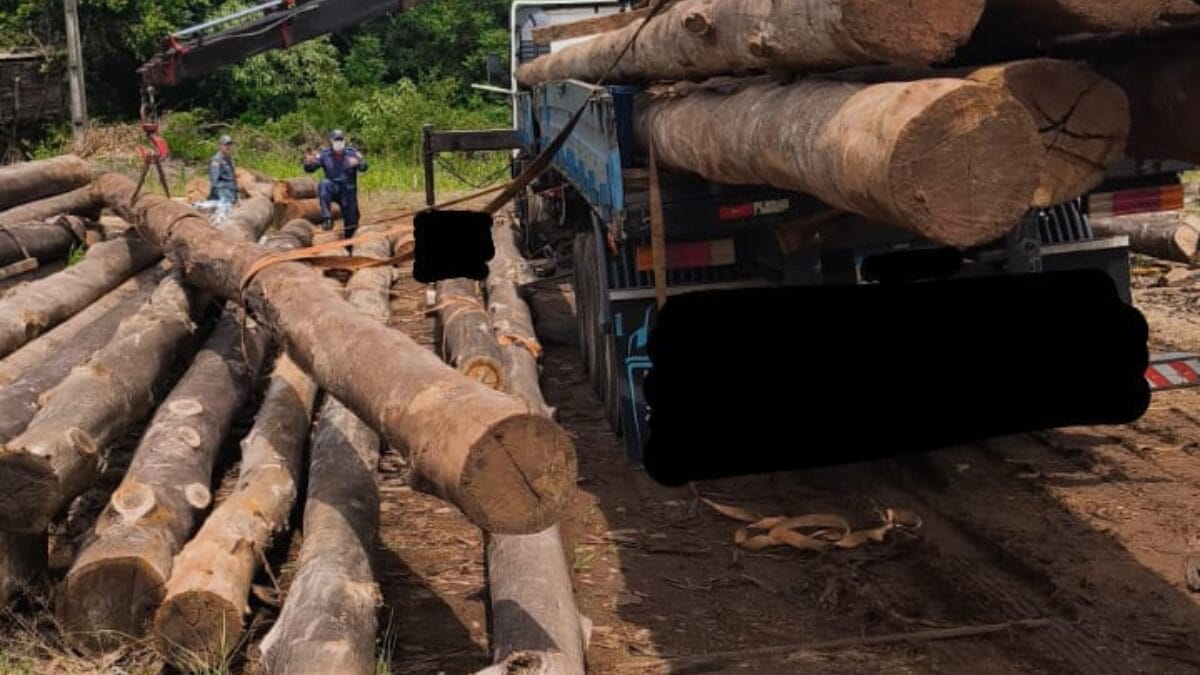 Trabalhador morreu esmagado no Oeste de SC
