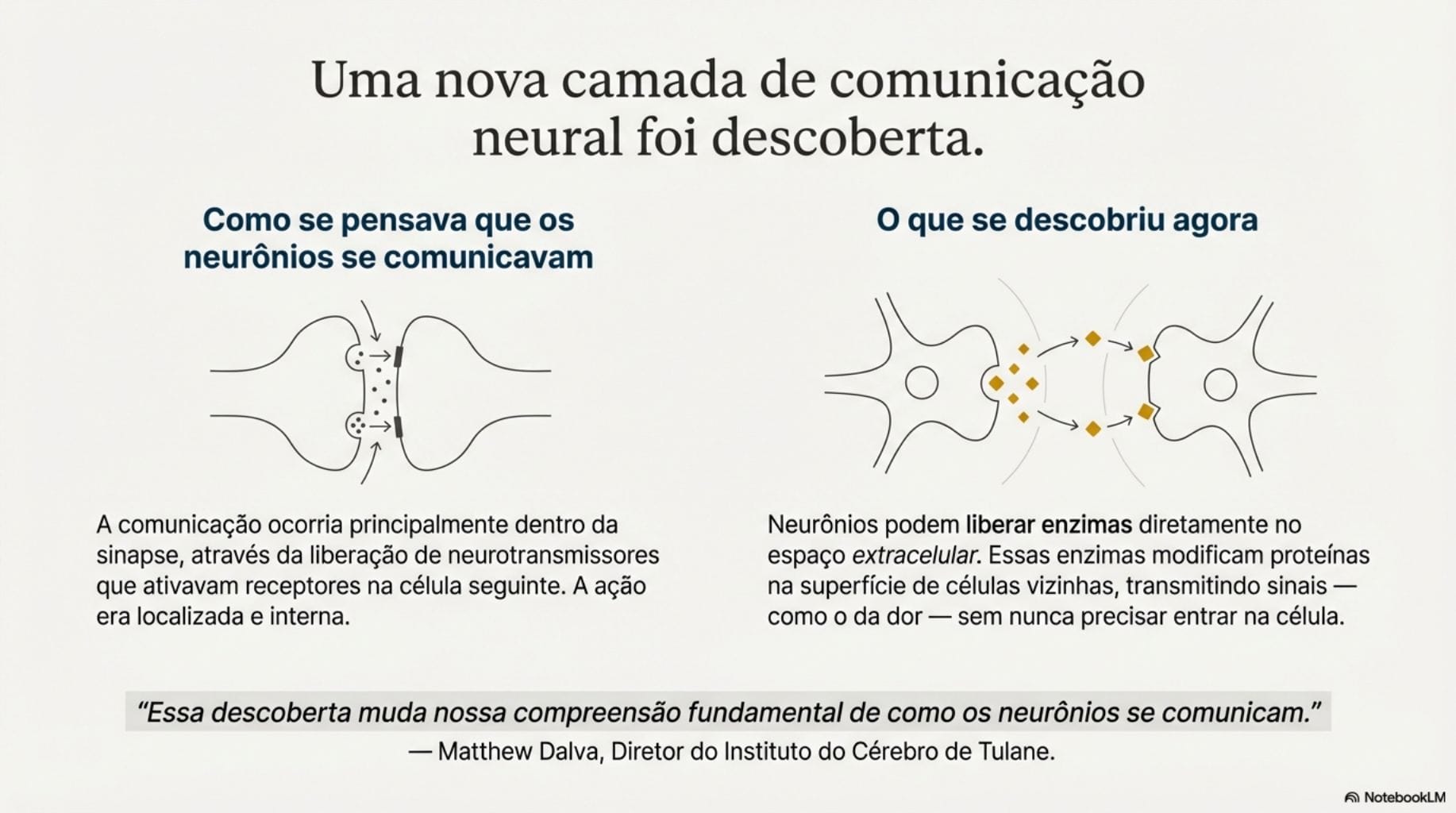 Guia da descoberta histórica que pode revolucionar o tratamento da dor humana.