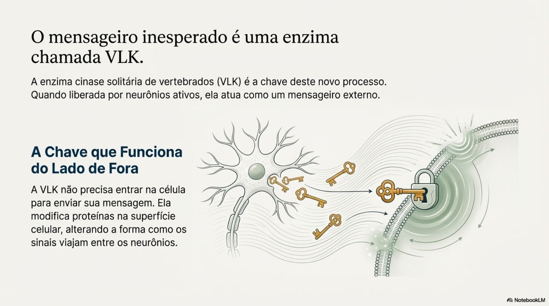 Guia da descoberta histórica que pode revolucionar o tratamento da dor humana.
