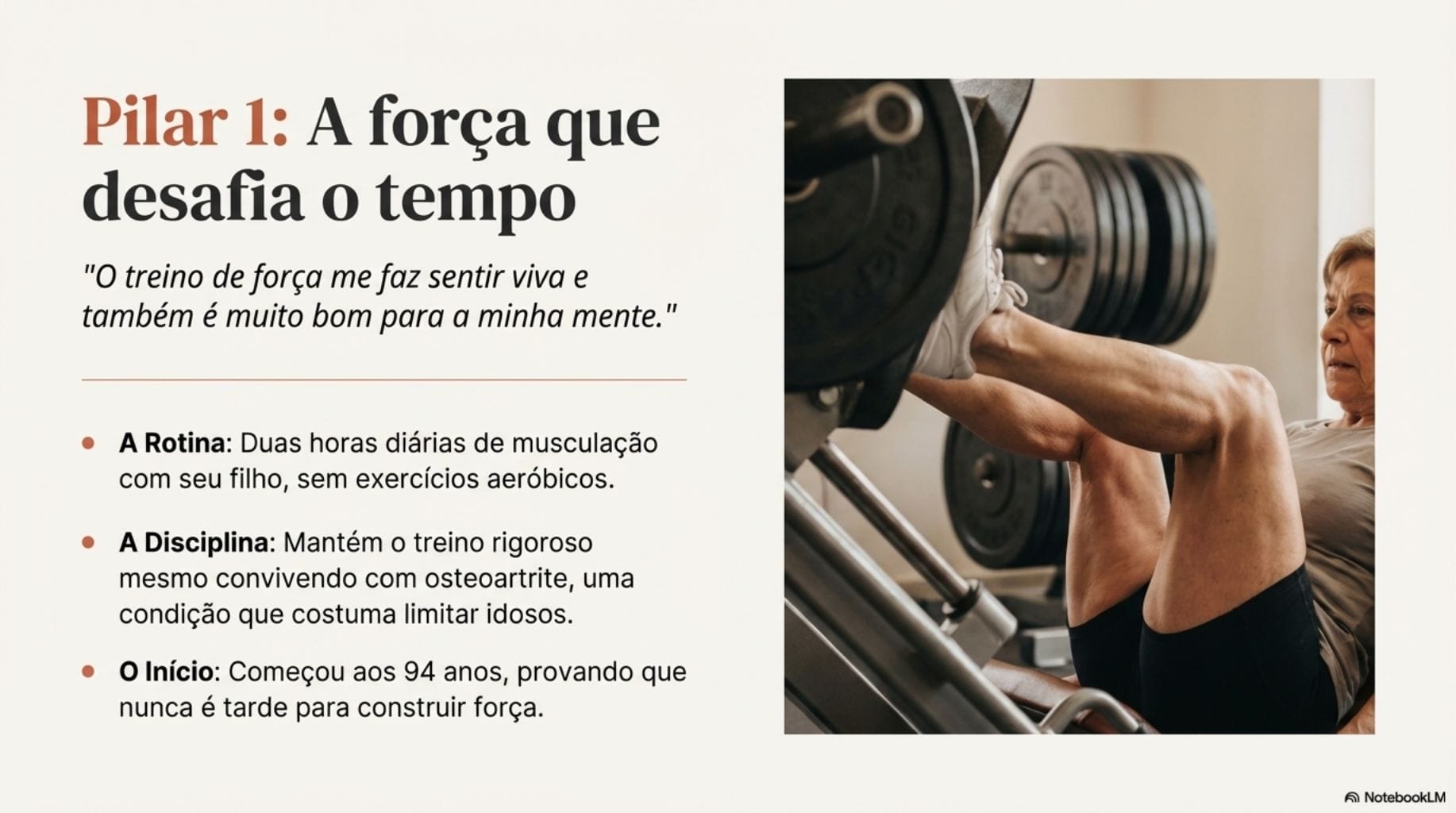 Guia Visual do Manual de 101 anos