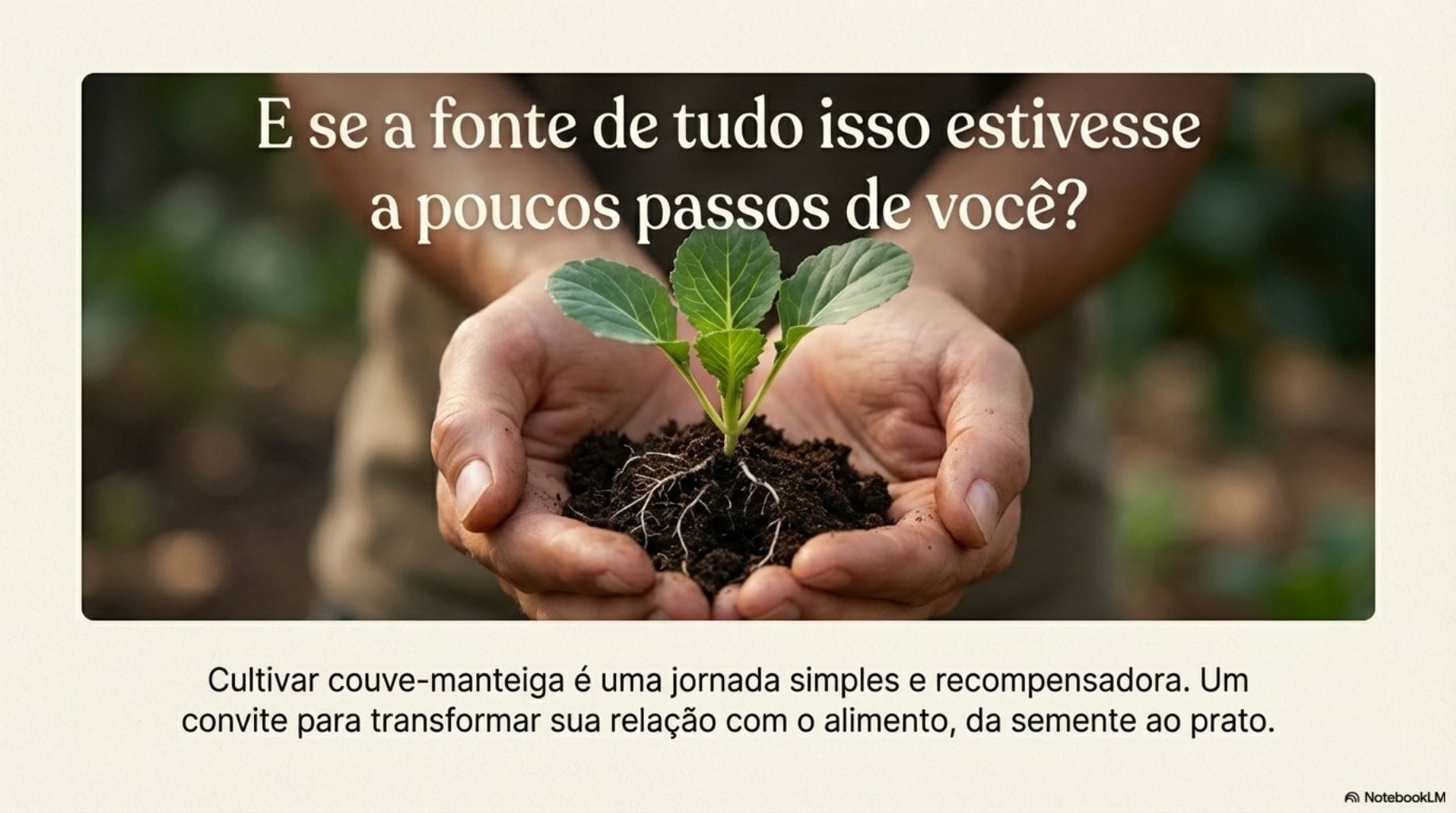 omo plantar couve-manteiga