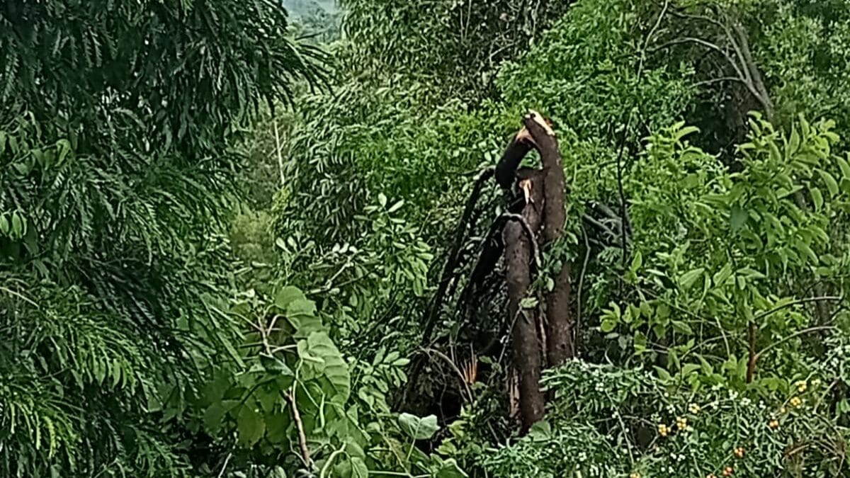 Chuvas causam estragos no Oeste de SC