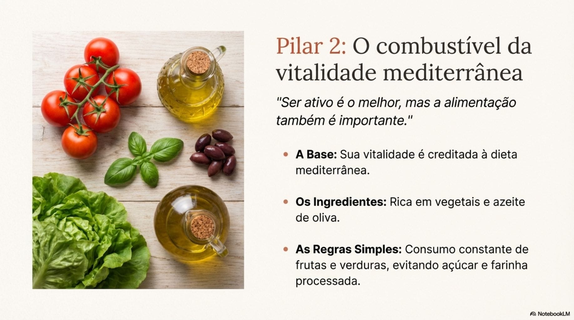 Guia Visual do Manual de 101 anos