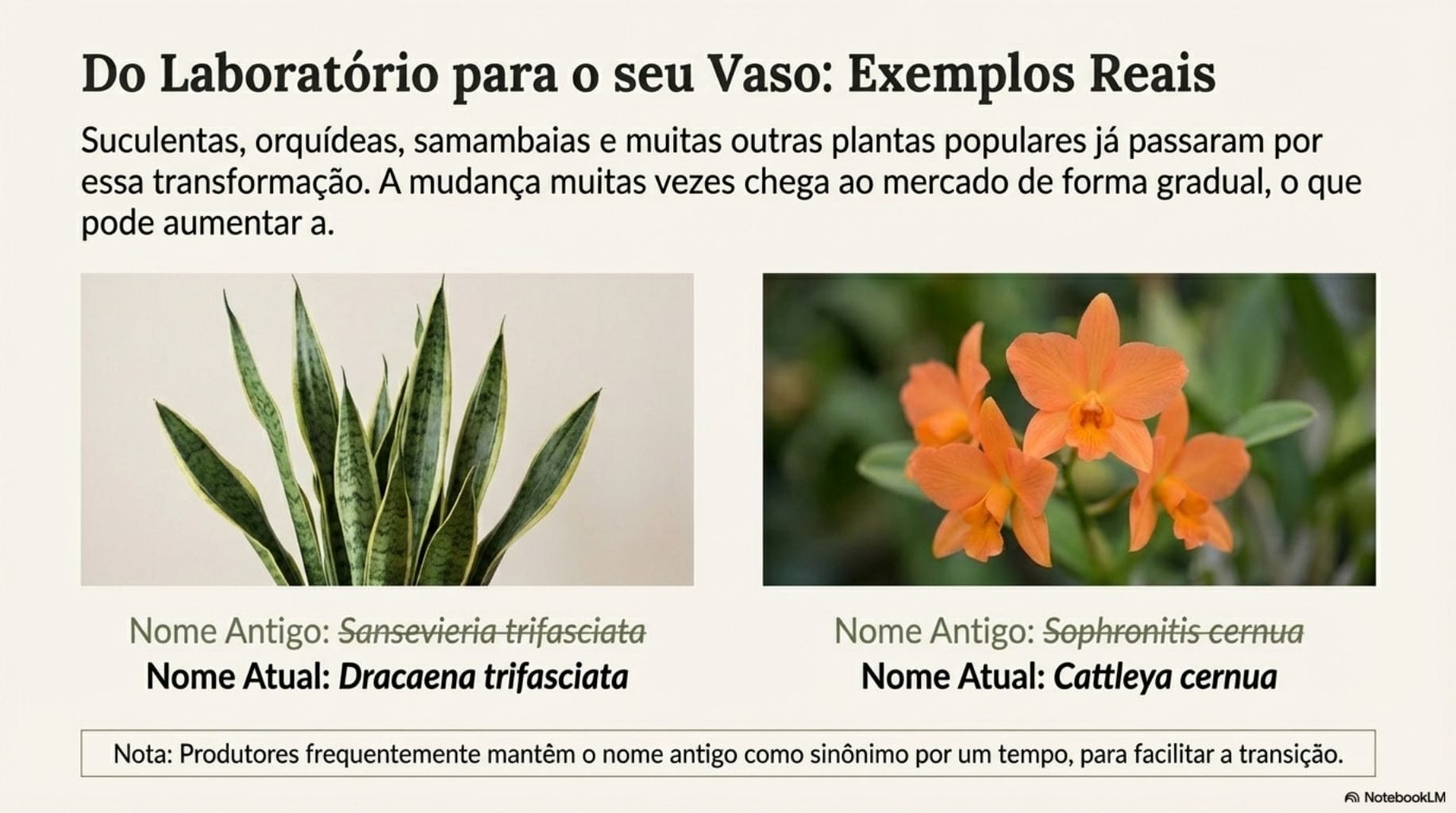 Mudança nomes científicos plantas.