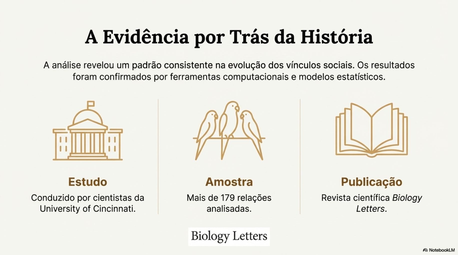 Comportamento social periquitos-monges