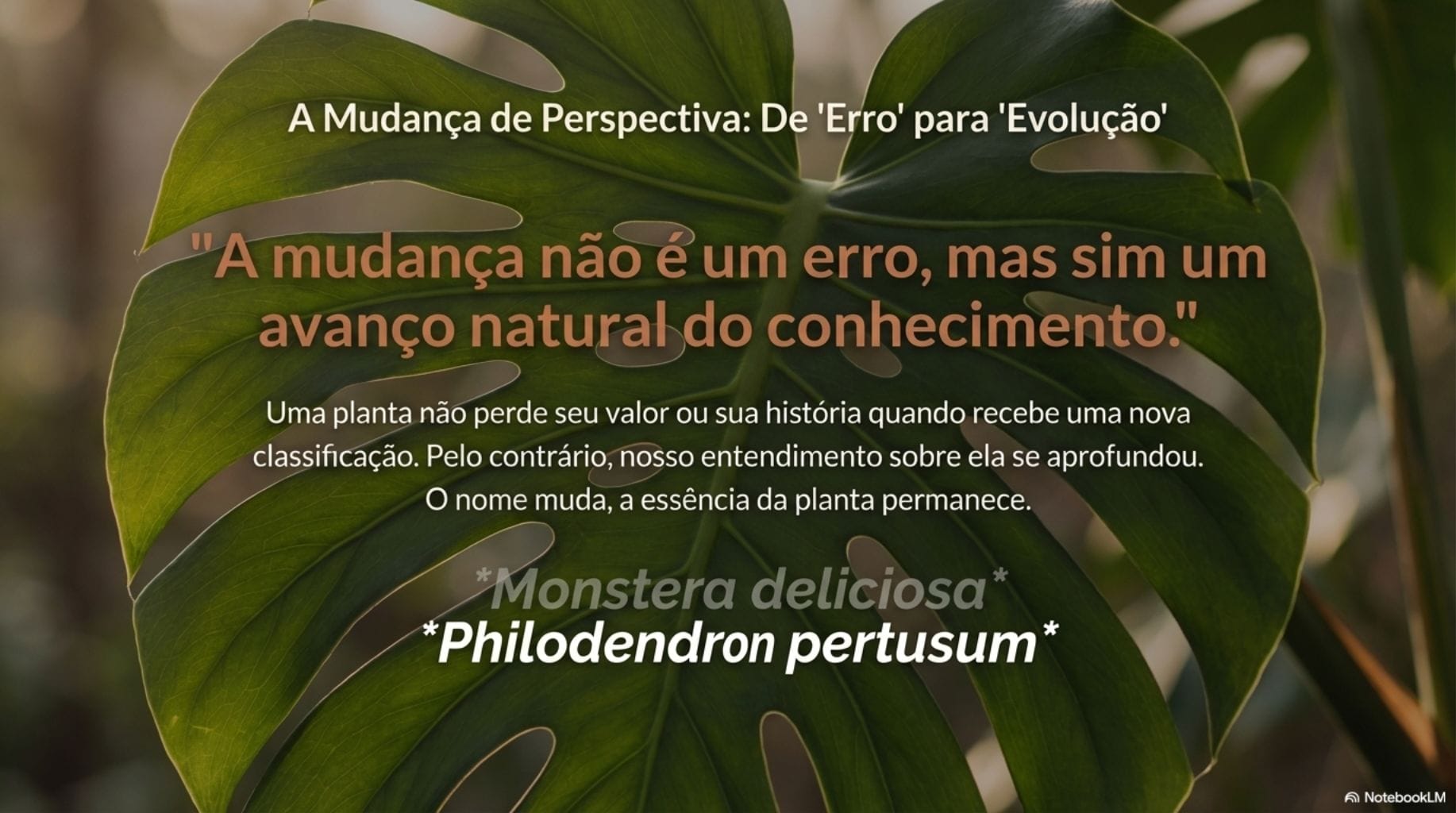Mudança nomes científicos plantas.