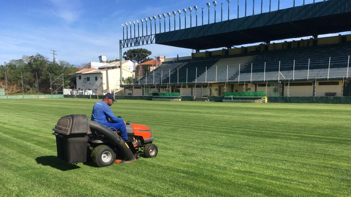 Grêmio chegou a fazer melhorias no gramado na época (Foto: Divulgação, Grêmio FBPA)