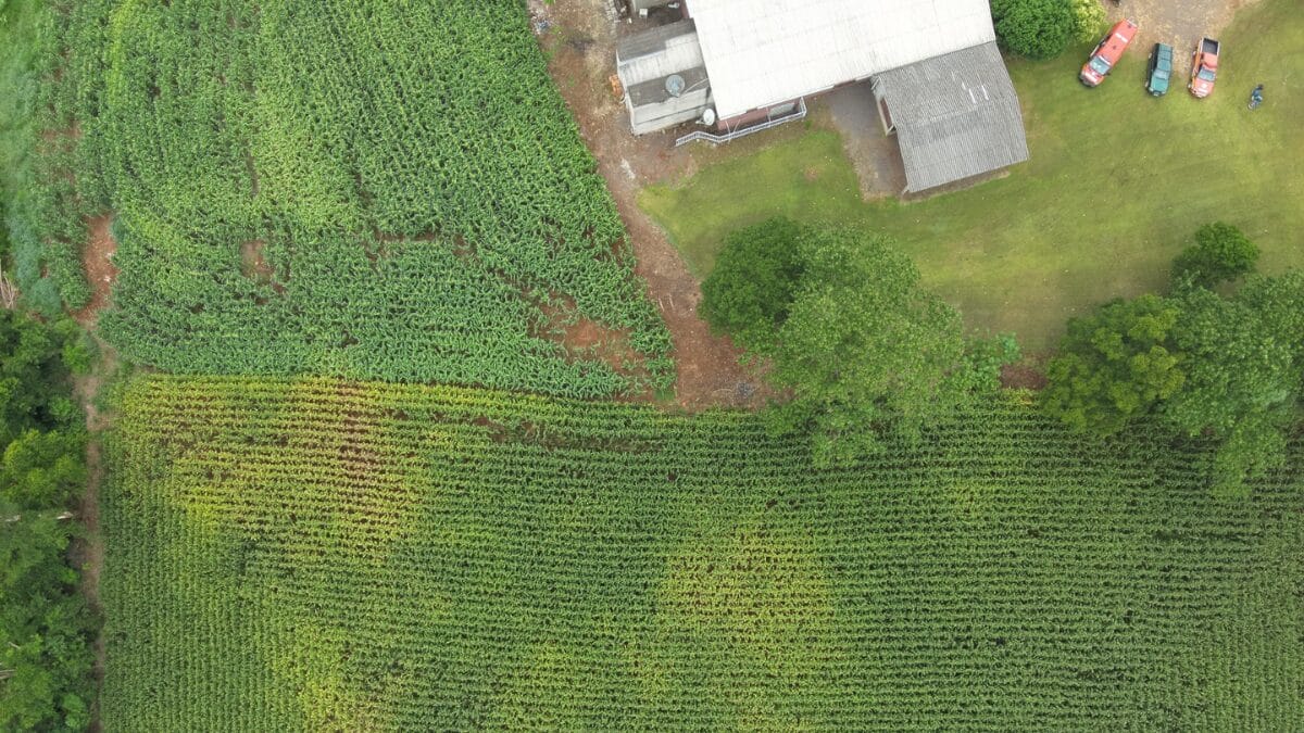 Após horas de buscas, desaparecido é localizado em milharal com auxílio de drone térmico em SC