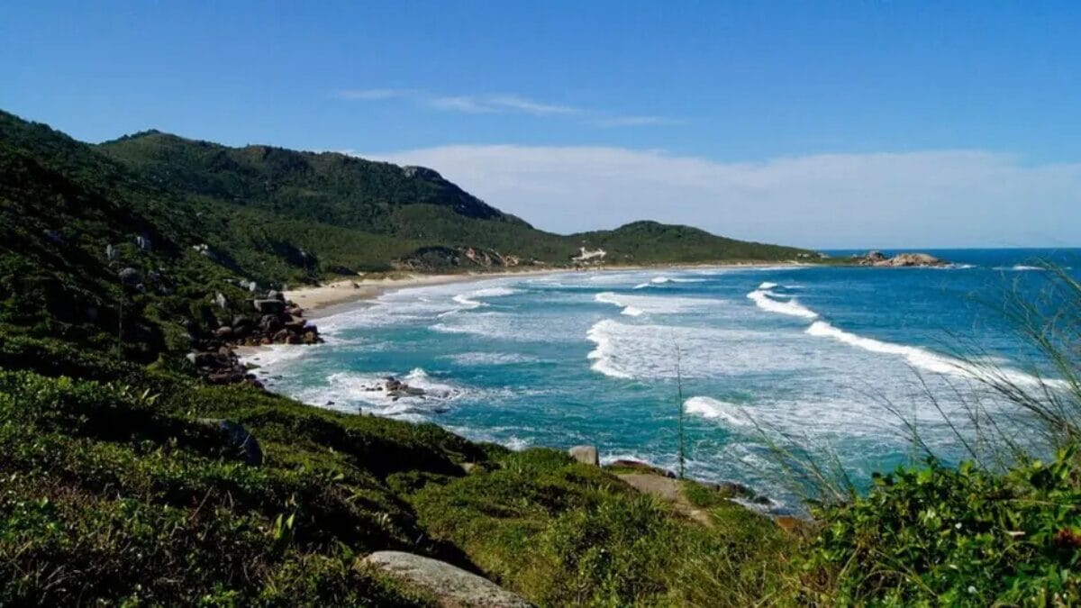 Após polêmica em BC, como está projeto que regulariza nudismo em praia de Florianópolis