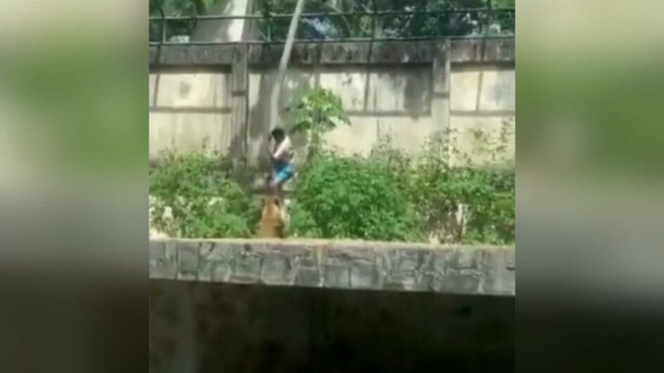 Pelo menos dois pedidos de internação pela Justiça (Foto: Redes sociais, Reprodução)