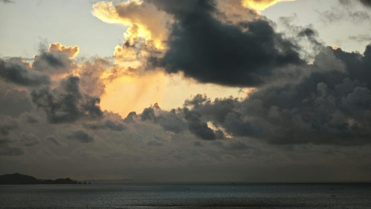 Chuva de verão