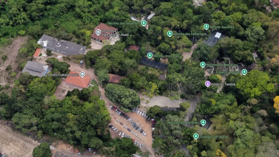 Leoa Leona, do zoológico da Bica, de João Pessoa