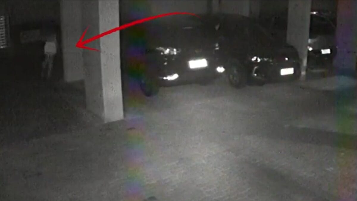 Imagens inéditas mostram como foi última madrugada de mulher que morreu após cair de prédio em SP (2)