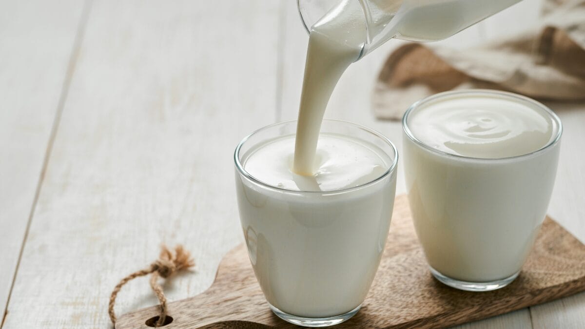 Kefir ou iogurte