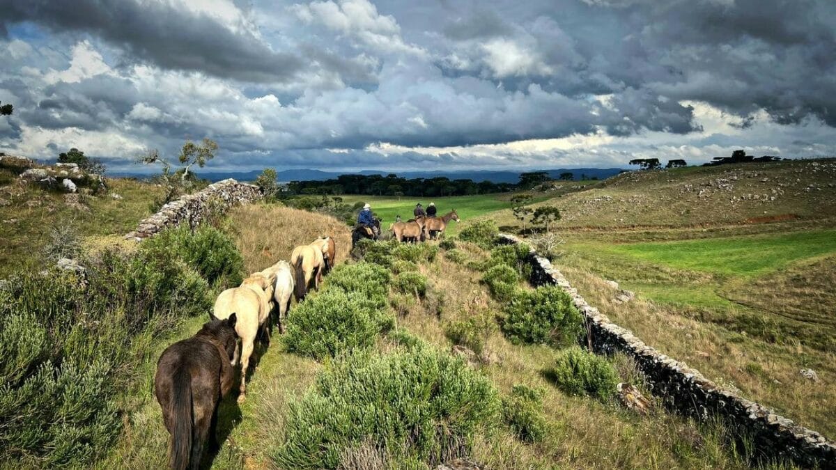 Coxilha Rica, em Lages