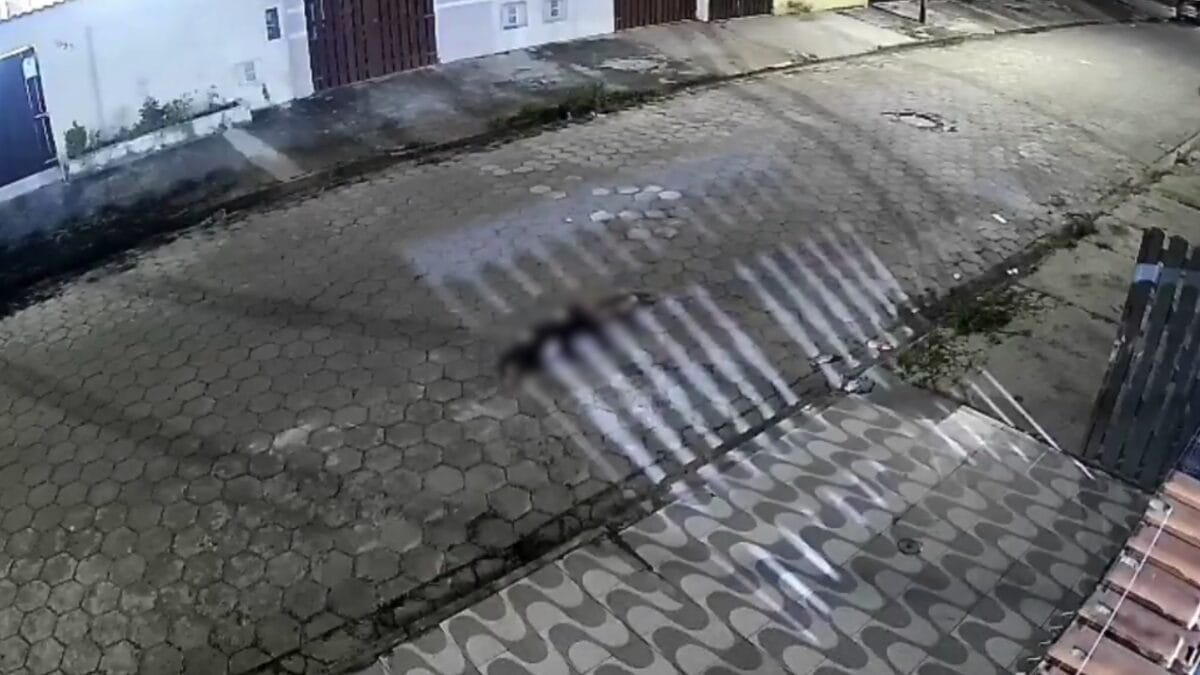 Câmera registra mulher sendo espancada pelo companheiro e desmaiando no meio da rua em SP