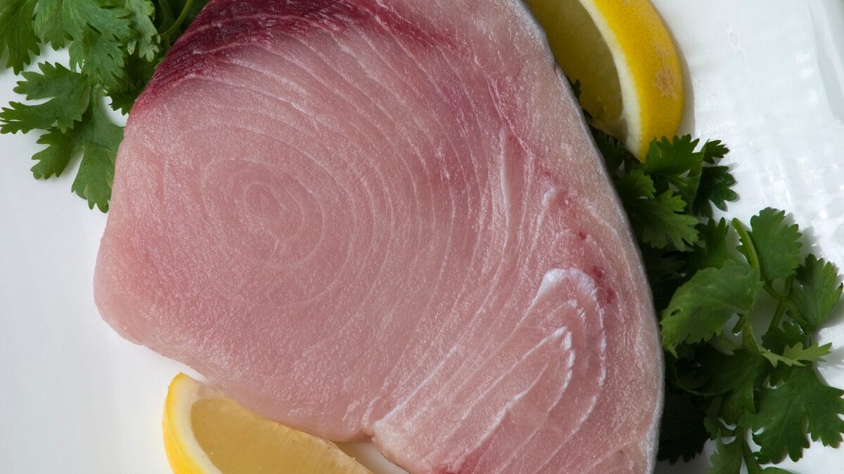 Peixes com alto teor de mercúrio