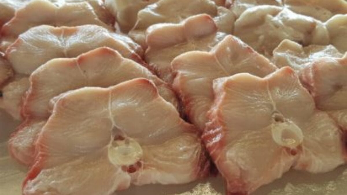 Peixes com alto teor de mercúrio