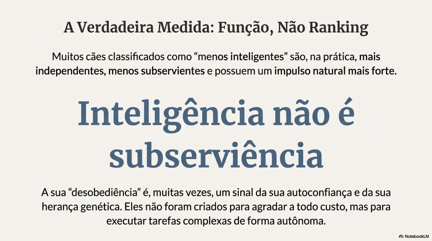 Ranking de intelig&ecirc;ncia dos cachorros