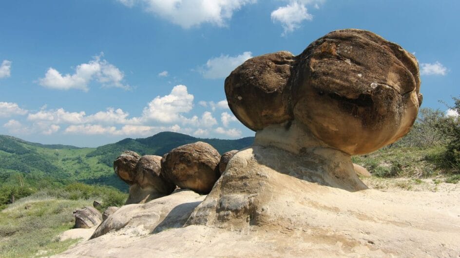 Trovants pedras vivas