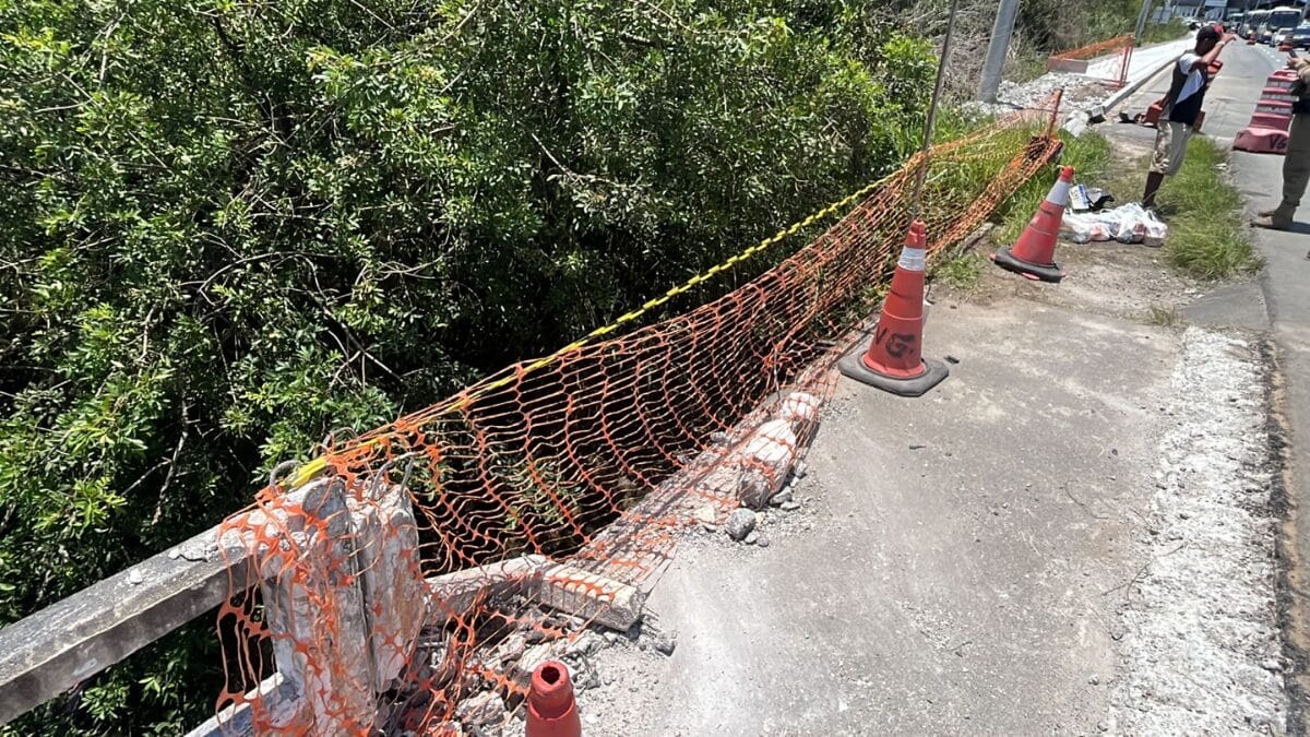 Motorista teria perdido o controle do carro (Foto: Carol Fernandes, Reprodução)