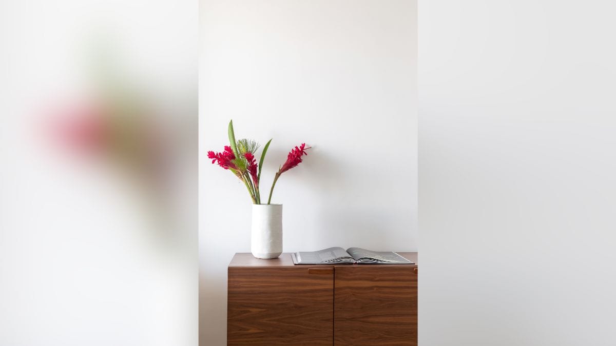 como é a casa de clara moneke a leo de dona de mim