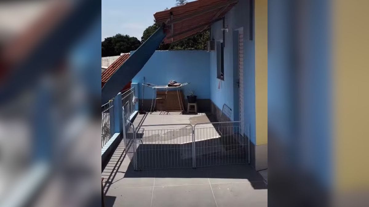 como é por dentro o retiro dos artistas