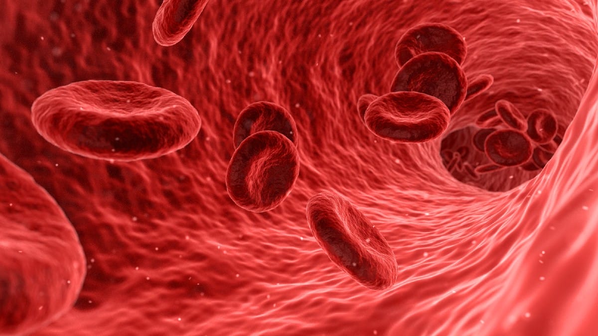 Controlar doen&ccedil;as circulat&oacute;rias &eacute; essencial para evitar o AVC. (Foto: Arek Socha/Wikimedia Commons)