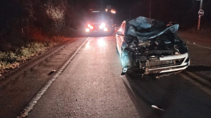 Carro danificado após colisão com cavalo em rodovia