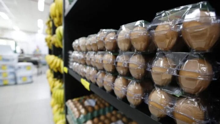 Ovos podem ter alta oferta em 2026 (Foto: Patrick Rodrigues, NSC Total)