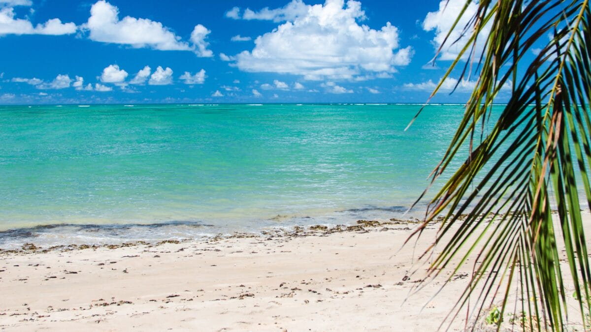 praias agua limpa alagoas