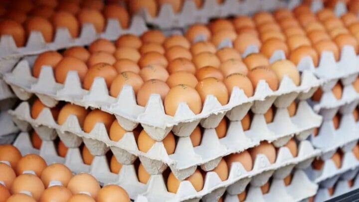 queda preço do ovo