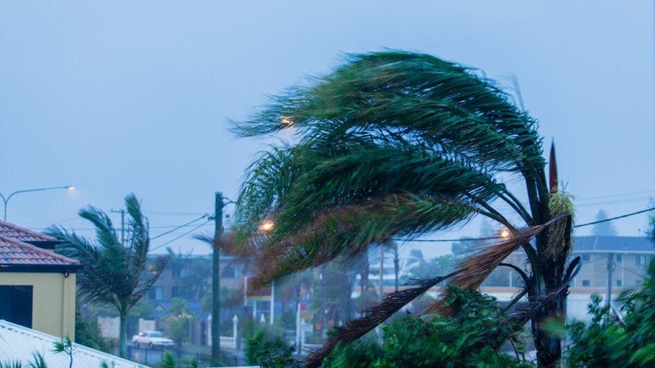 Santa Catarina amanheceu nesta quinta-feira (10) com fortes ventos (Foto: Imagem Ilustrativa, Canva, Reprodução)