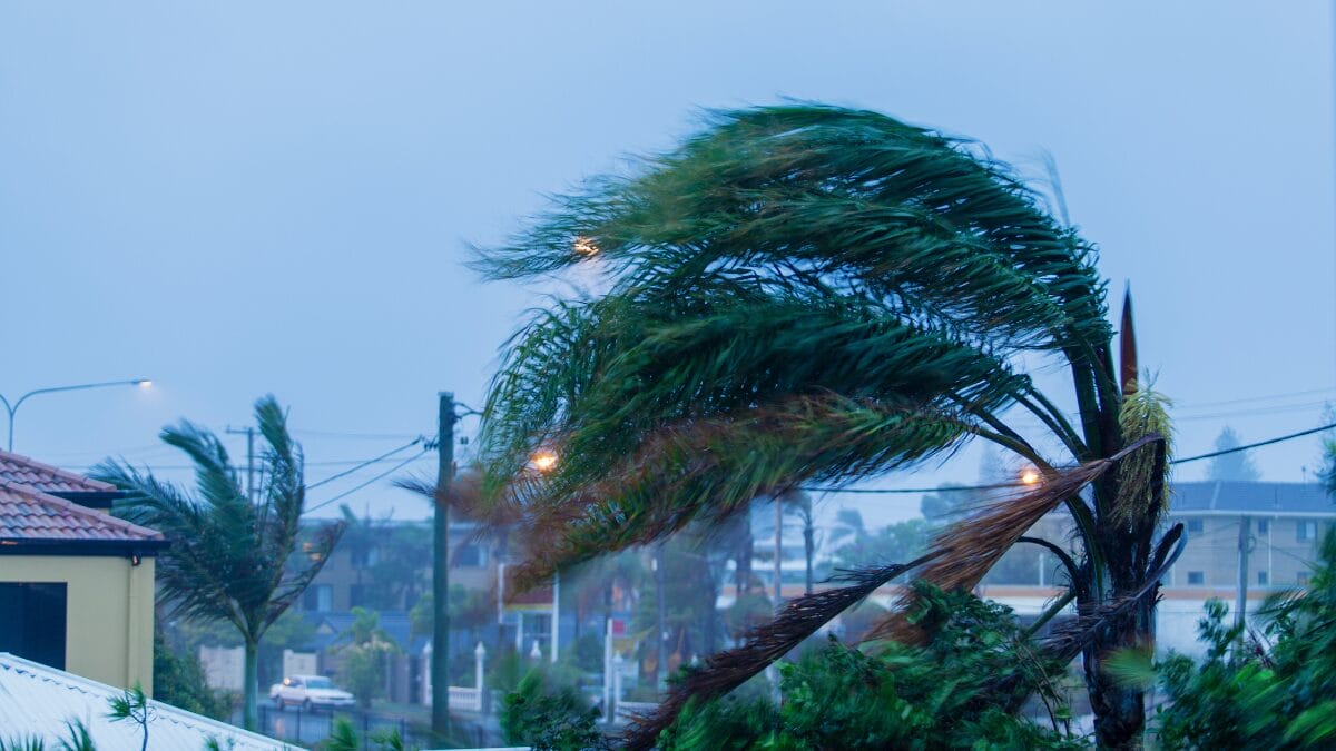 Santa Catarina pode ter ventos de até 50 km/h (Foto: Imagem Ilustrativa, Canva, Reprodução)
