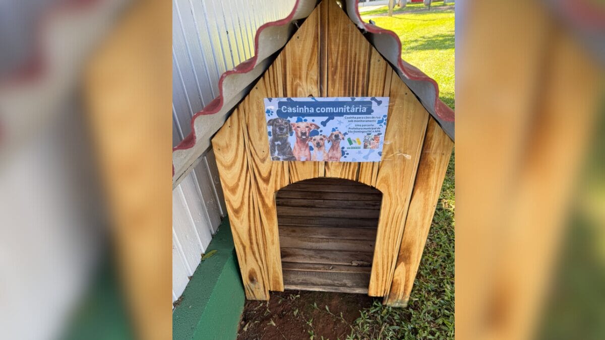 Casinha para cães em São Domingos