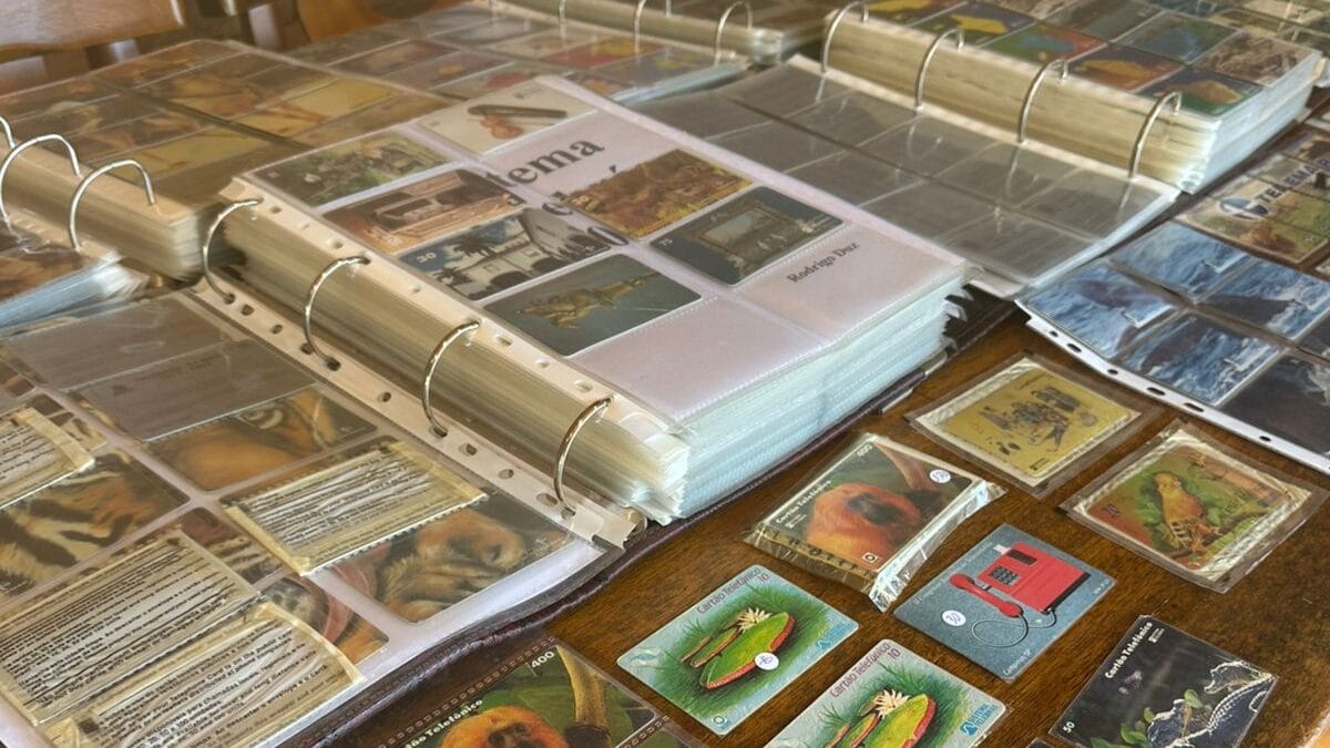 Cole&ccedil;&atilde;o de cart&atilde;o de orelh&atilde;o