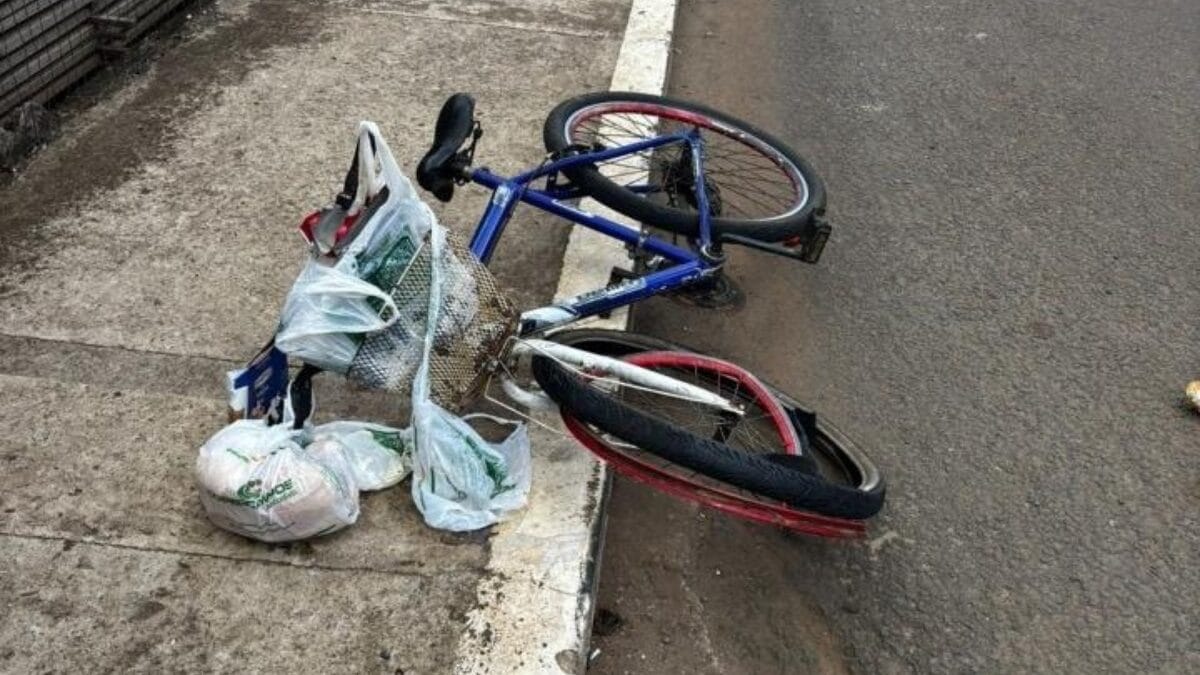 Atropelamento Campos Novos