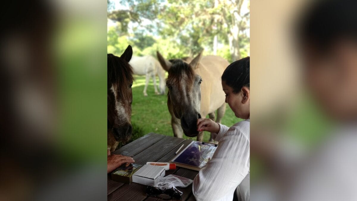 Terapia com cavalos