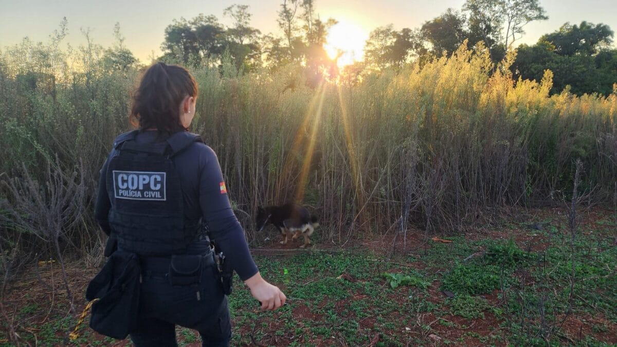 Opera&ccedil;&atilde;o em Chapec&oacute; e Pinhalzinho