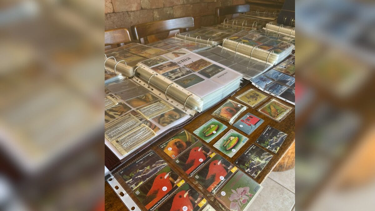 Cole&ccedil;&atilde;o de cart&atilde;o de orelh&atilde;o