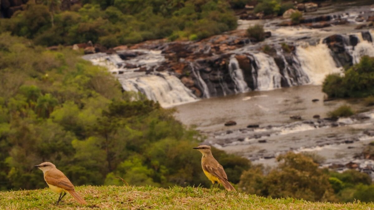 Cachoeira Abelardo Luz