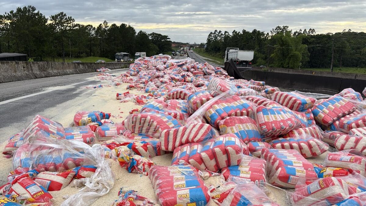 Caminhão com carga de arroz tomba, interdita pista e causa filas na BR-101, em SC