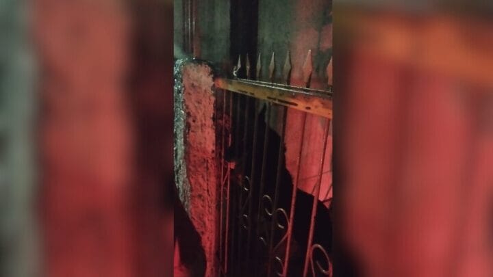 Cão se assusta com fogos de artifícios, prende pata em portão e mobiliza bombeiros em SC