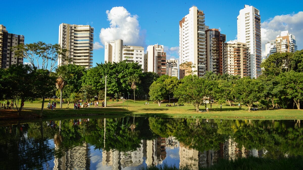Capital brasileira reduziu os efeitos do calor extremo plantando mais de 1 milhão de árvores goiânia
